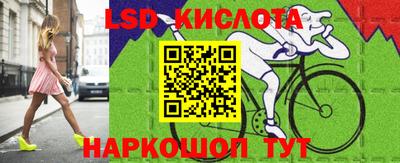 шишки Можга