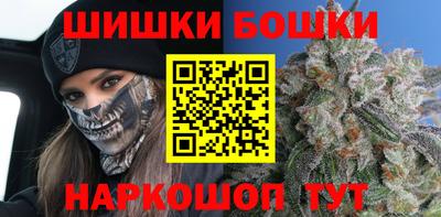 шишки Можга