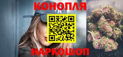 шишки Можга