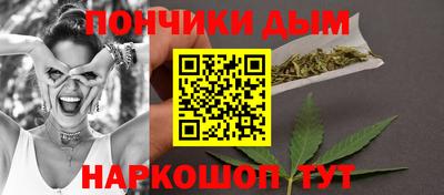 шишки Можга