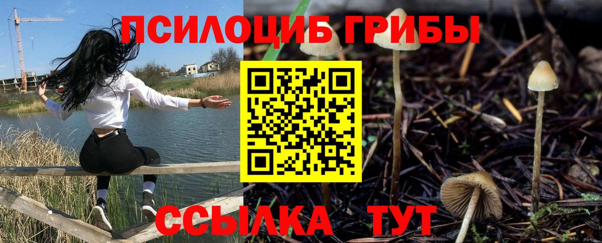 Троицк  Галлюциногенные грибы Magic Shrooms  Вход с VPN  Галлюциногенные грибы Psilocybe 