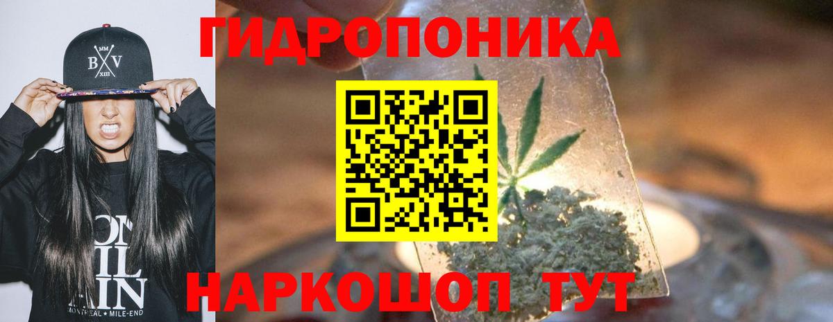 Канабис семена  Бошки Шишки SATIVA & INDICA  Вход с VPN  Троицк 